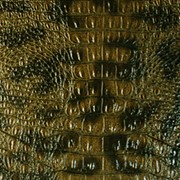 Кожзаменитель имитирующий кожу аллигатора - ALLIGATOR цена фотография