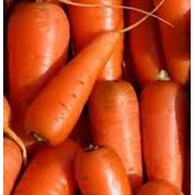 Морковь среднеспелая, реализуем овощи оптом по всей Украине и на экспорт