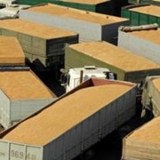 Внутрироссийские перевозки зерновых грузов