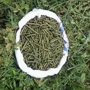 Линия для изготовления травяных гранул (гранулированной травяной муки) ОГМ 1.5 фото