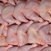 Готовое технологическое условие для полуфабрикатов из мяса курицы фотография