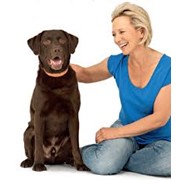 Терапевтическое лечение собак фото