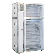 Двухкамерный инкубатор РЭМИЛ-550ЦД с раздельной регулировкой температуры и влажности в рабочих камерах фото