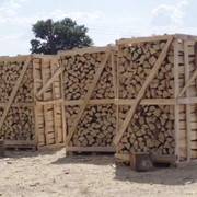 ЧП.Lubko Покупаю каминные дрова на экспорт. фотография