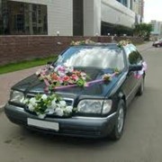 Автомобили с водителем для обслуживания свадеб фото