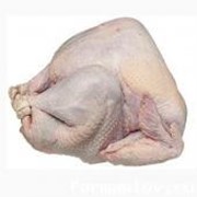 Индюшатина фото