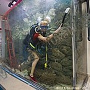 Обслуживание аквариумов фото