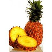 Ананас (Pineapple) фото