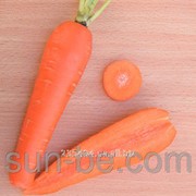 Семена моркови Шантане 1,8-2,0 1 000 000 семян Абако F1 Semenis фото