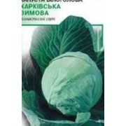 Семена капусты Харьковская Зимняя