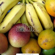 Услуги доставки продуктов фото