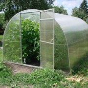 Теплица Сибирская 20Ц-0,5, 4 м. Шаг дуги-0,5 м фото