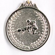 Медаль борьба - серебро фотография