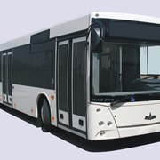 Пригородный автобус МАЗ-203 фотография