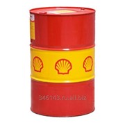 Shell Rimula R5E 10W40 (209л.) фотография