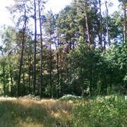 Земельные участки г. Житомир и область фото