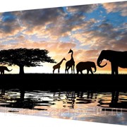 Картина на холсте 40х50 д954 фото