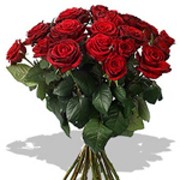 15 красных роз любимой