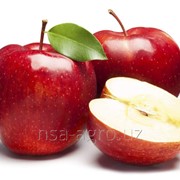 Листовая подкормка яблонь Атланте, 2,0 л/га фотография