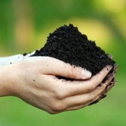 Определение плотности почвы фото