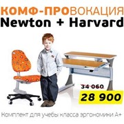 Комплект растущей мебели - эргономичное кресло Ньютон + парта трансформер ГАРВАРД фото