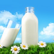 Молоко коровье сырое цельное фотография