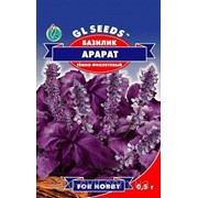 Семена пряные Базилик Арарат тёмно-фиолетовый фото