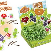 Веселая грядка Живая открытка Happy Plant наборы для выращивания фотография
