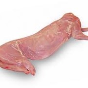 Мясо кролика фото