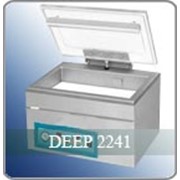 Упаковщик банкнот Deep 2241 (вакуумный) фото
