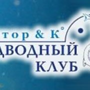 Дайвинг фото