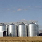 Хранение зерна на элеваторе фото