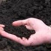 Торф для улучшения почвы