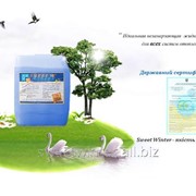 Антифриз бытовой для отопления Sweet Winter фото