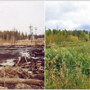 Cупервайзинг по рекультивации нефтезагрязненных земель, шламовых амбаров, засоленных почв фото
