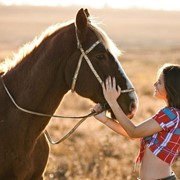 Фотосессии с лошадьми, конные прогулки, купание с лошадьми, катание детей на лошади, прокат лошадей, аренда лошадей, конные прогулки фото