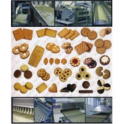 Промышленные линии “под ключ“ для производства сахарного печенья фото