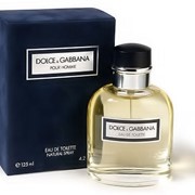 Духи мужские Dolce&Gabbana Pour Homme 100мл фотография
