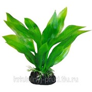 Искусственное растение “Эхинодорус американский“ 15см. фотография