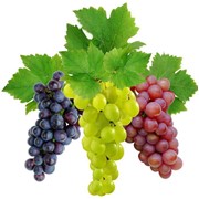 Виноград в Молдове цена фото