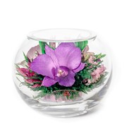 Орхидея в стекле tm FIORA BS-o4 42621
