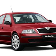 Прокат автомоблия Skoda Octavia фотография