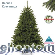 Искусственная елка Триумф Лесная Красавица 2.6 Triumph Tree фото