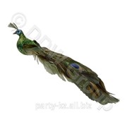 Декор Павлин зеленый с перьями 55 см фото