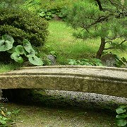 Дизайн сада в Японском стиле Киев Украина цена фото