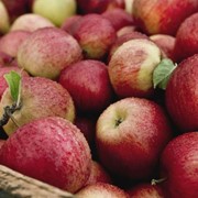 Яблоки Джанаголд фото