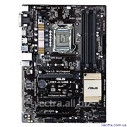 MB Asus Z97-K/USB3.1, s1150, Z97, 4xDDR3, HDMI-DVI-VGA, USB3.1, M.2, ATX фото