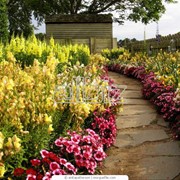 Проектирование ландшафта сада фото