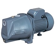 Насосы плюс оборудование Поверхностный насос Насосы+“ JSWm 10М фото