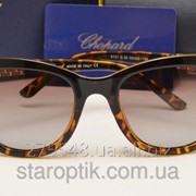 Женские солнцезащитные очки Shopart 6101 лео
